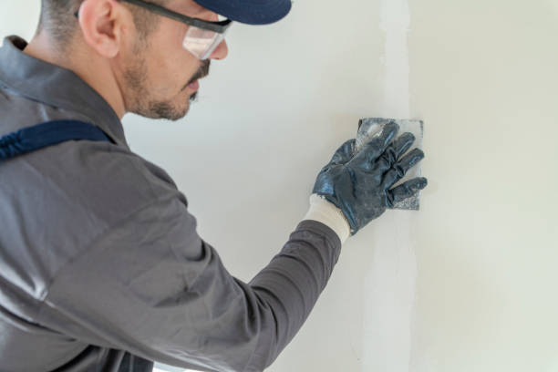 Barberton, WA Mold Removal Company